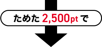 ためた 2,500pt で