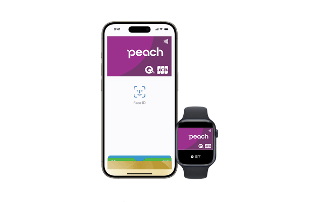Apple Pay
