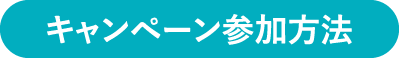 プレゼントがもらえるまでの流れ