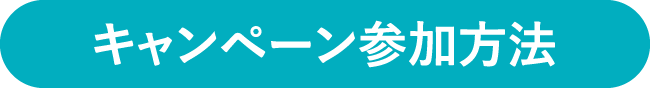プレゼントがもらえるまでの流れ